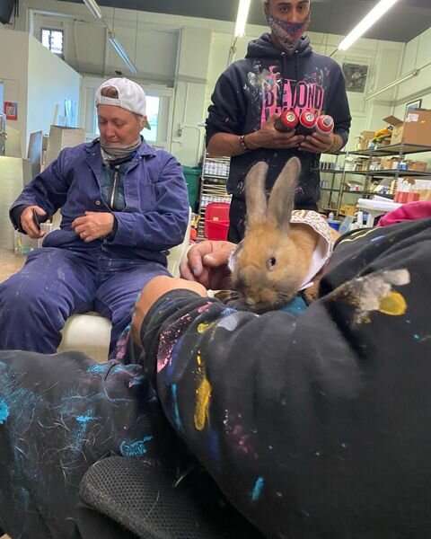 #bwtbt – Day 16 – Bunny has entered the chat!
