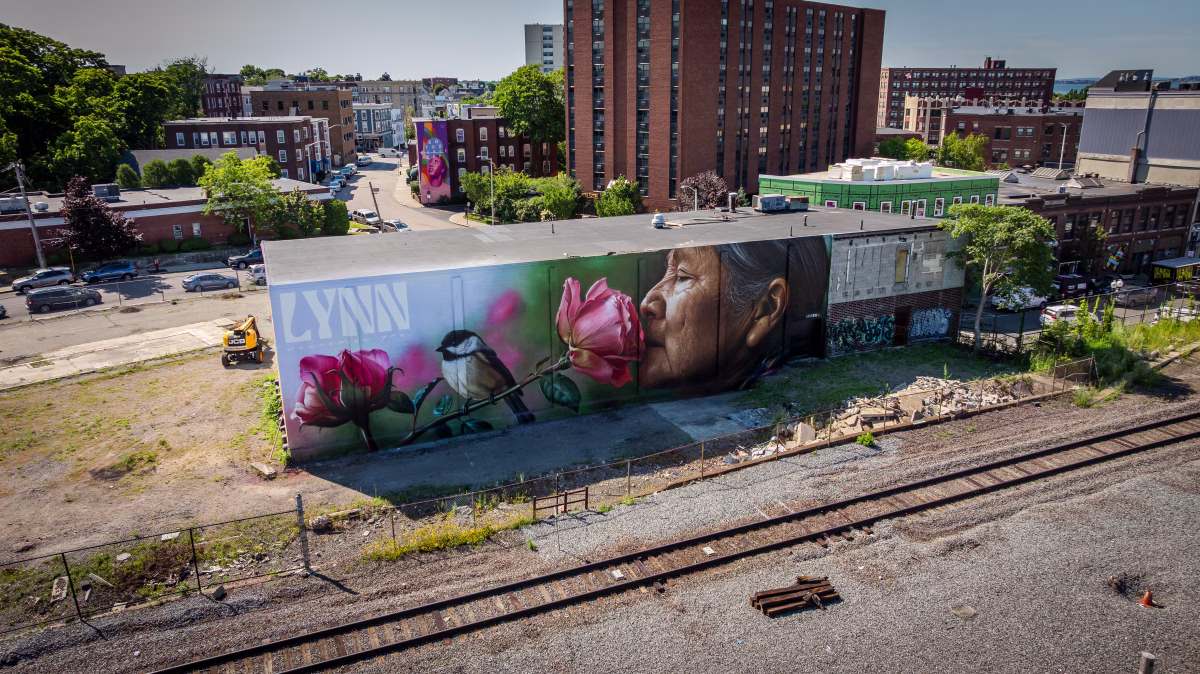 50 Silsbee St. (Train View)